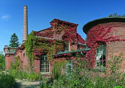 © Naturschutzzentrum Ökowerk Berlin e.V.